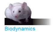 Logo BIODYNAMICS SRL